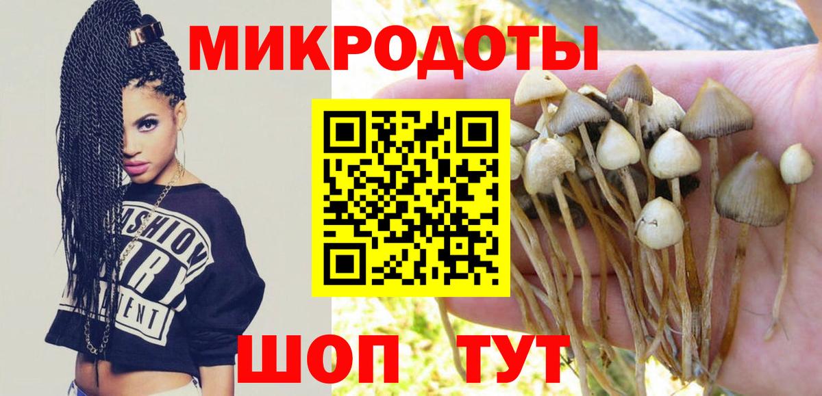 Галлюциногенные грибы Cubensis Бузулук