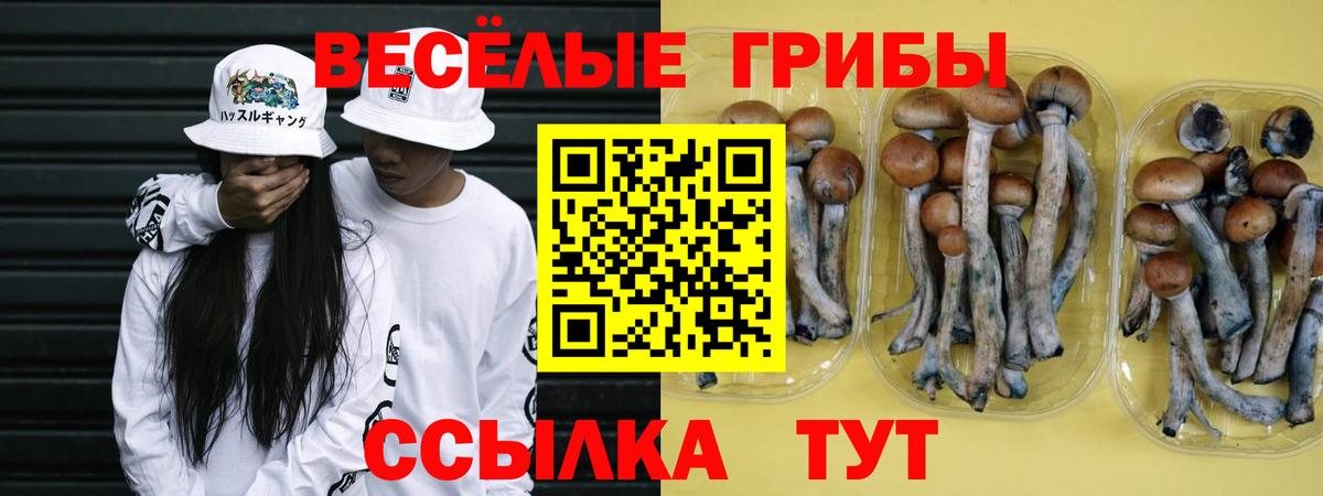 Галлюциногенные грибы прущие грибы  Вход с VPN  Бузулук  Галлюциногенные грибы прущие грибы 
